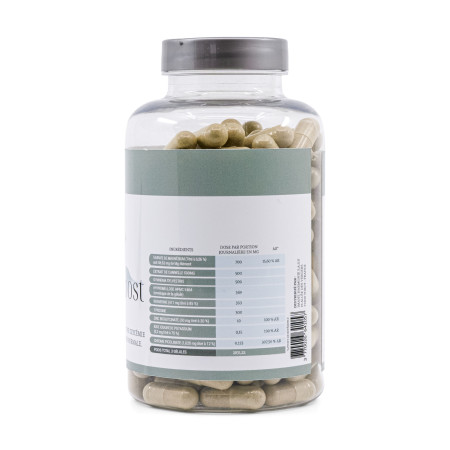 Complément alimentaire Indice glycémique Boost