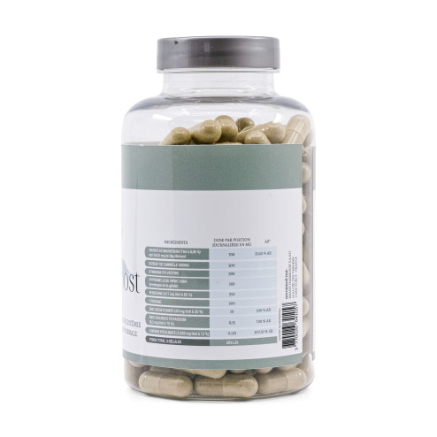 Complément alimentaire Indice glycémique Boost