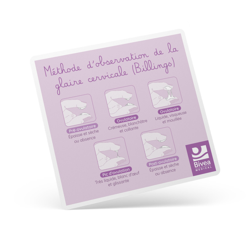 Carte méthode d'observation de la glaire cervicale schémas