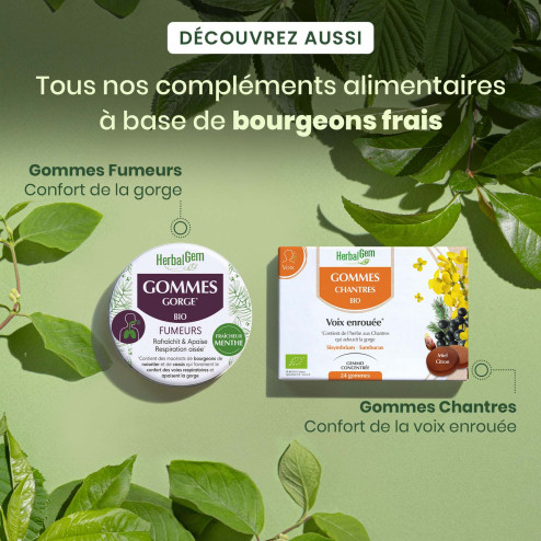 Gommes chantres bio - Voie enrouée