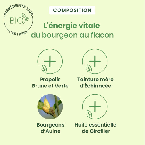 Gouttes Propolis immunité Bio