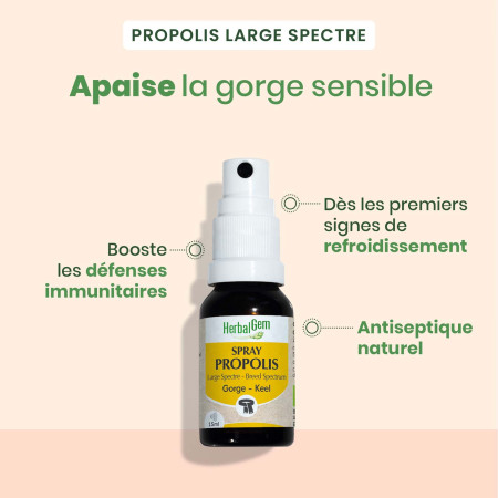 Spray Propolis large...