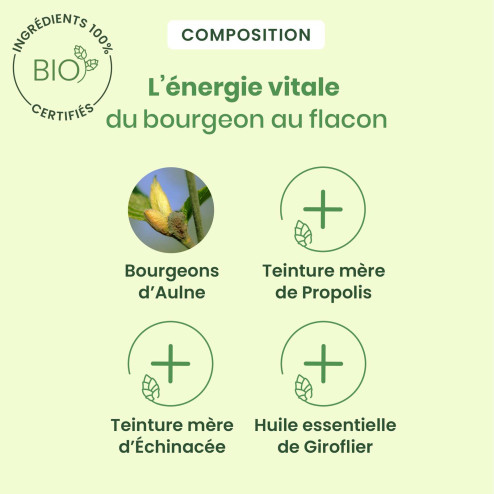 Gommes Propolis Large Spectre Gorge Bio