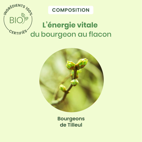 Macérat mère bourgeons de Tilleul Bio