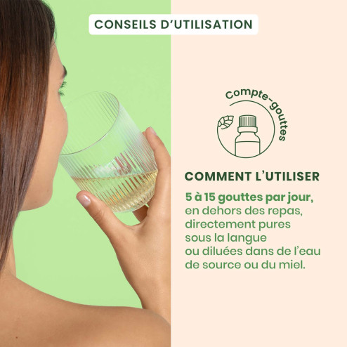 Macérat mère bourgeons de Tilleul Bio