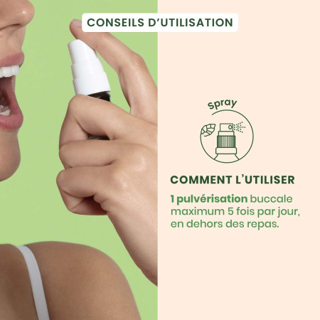 Macérat mère bourgeons de Tilleul Bio