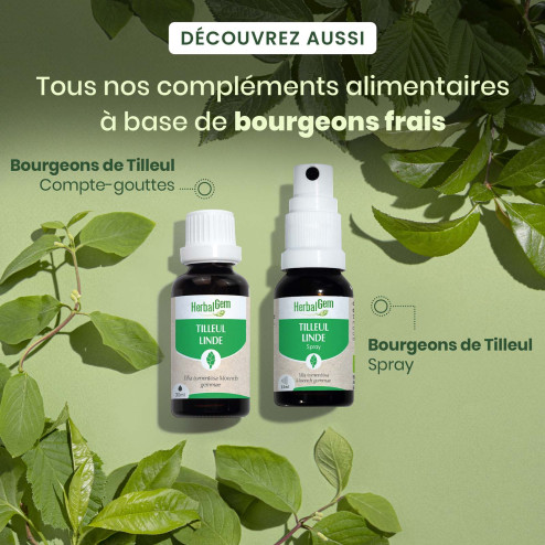 Macérat mère bourgeons de Tilleul Bio