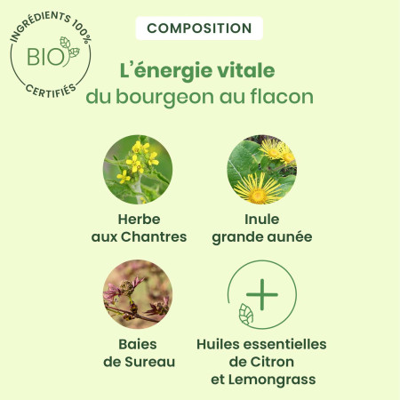 Sirop des chantres bio