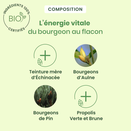 Sirop Respiration bio