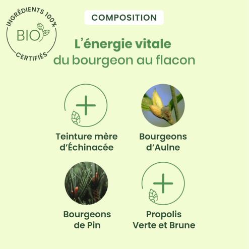 Sirop Respiration bio