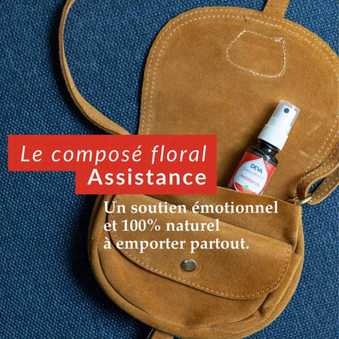 Spray Assistance - Composé floral n° 1 bio