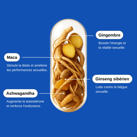 Complément alimentaire Libido boost homme