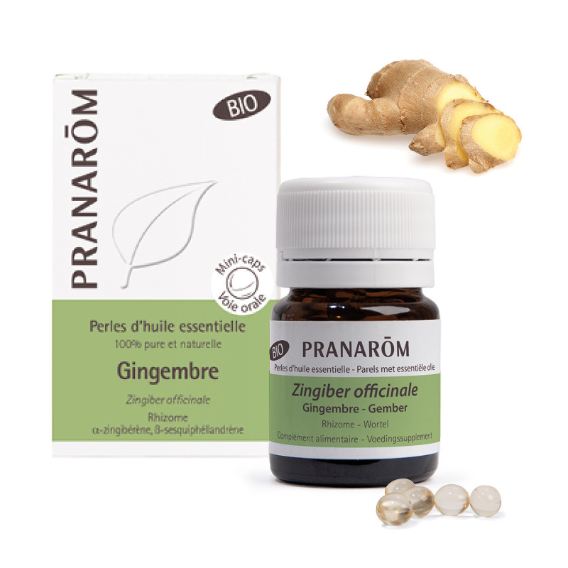 Gingembre (Zingiber officinalis) rhizomes Teinture Mère sans