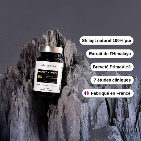 Complément alimentaire Shilajit Himalaya