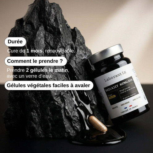 Complément alimentaire Shilajit Himalaya