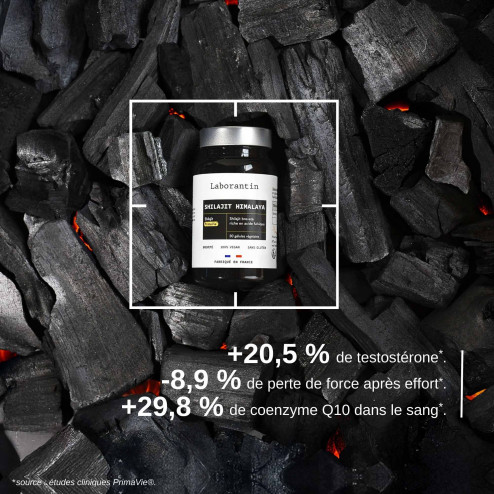 Complément alimentaire Shilajit Himalaya