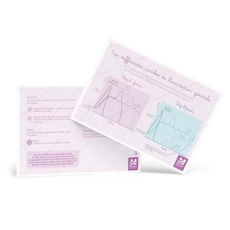 Illustration Les différentes courbes de l'excitation génitale