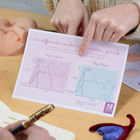 Illustration Les différentes courbes de l'excitation génitale