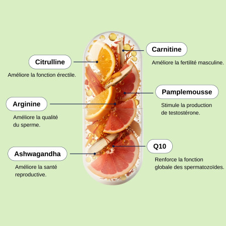 Complément alimentaire Nutri fertilité homme