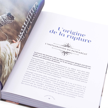 Le grand livre du féminin sacré