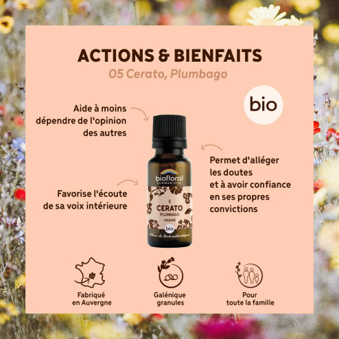 Fleurs de Bach Plumbago Cerato n° 5