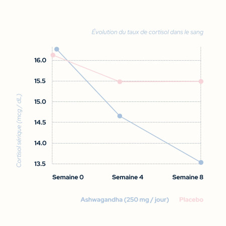 Cure équilibre cortisol - Résistance au stress