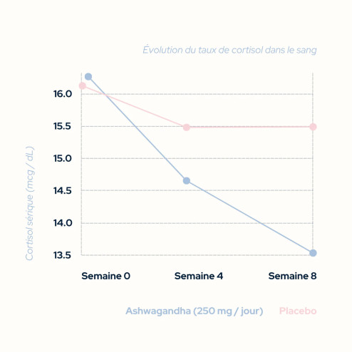 Cure équilibre cortisol - Résistance au stress