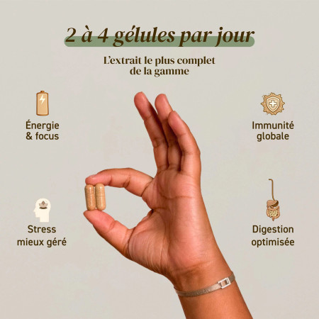 Complément alimentaire à base d'extraits de 5 champignons bio