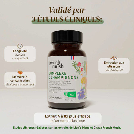 Complément alimentaire à base d'extraits de 5 champignons bio