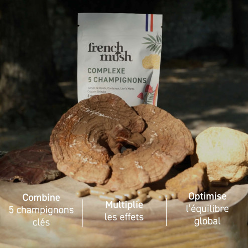 Complément alimentaire à base d'extraits de 5 champignons bio
