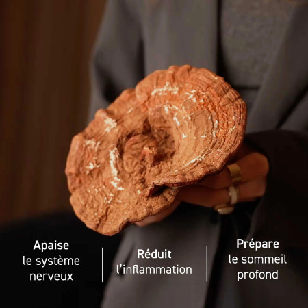 Complément alimentaire à base d'extraits de Reishi bio