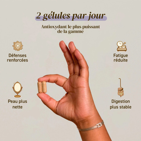 Complément alimentaire à base d'extraits de Chaga bio
