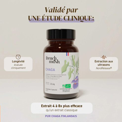 Complément alimentaire à base d'extraits de Chaga bio