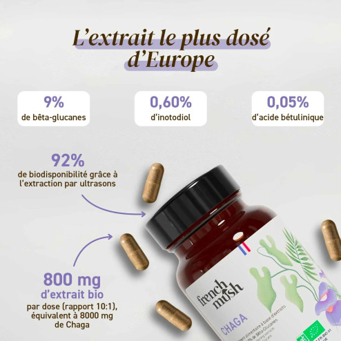 Complément alimentaire à base d'extraits de Chaga bio