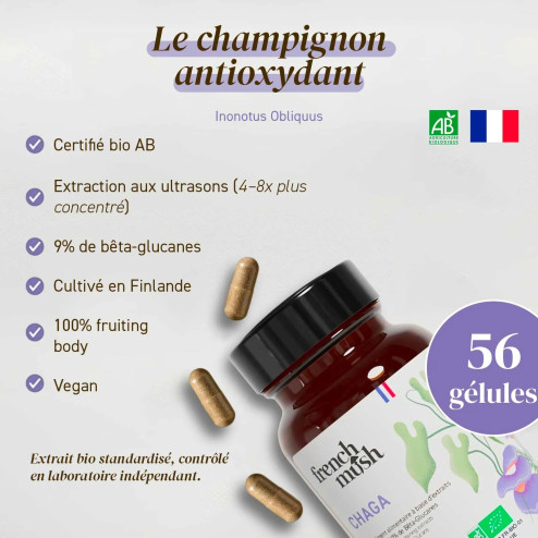 Complément alimentaire à base d'extraits de Chaga bio