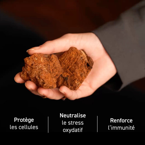 Complément alimentaire à base d'extraits de Chaga bio
