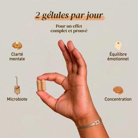 Complément alimentaire à base d'extraits de Lion's mane bio