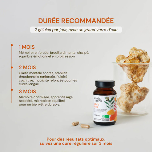 Complément alimentaire à base d'extraits de Lion's mane bio