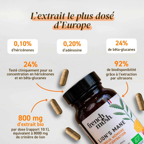 Complément alimentaire à base d'extraits de Lion's mane bio