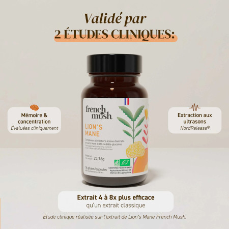 Complément alimentaire à base d'extraits de Lion's mane bio