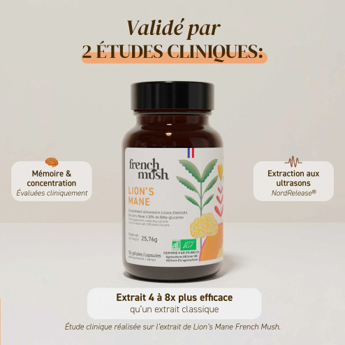 Complément alimentaire à base d'extraits de Lion's mane bio