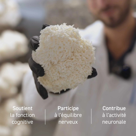 Complément alimentaire à base d'extraits de Lion's mane bio