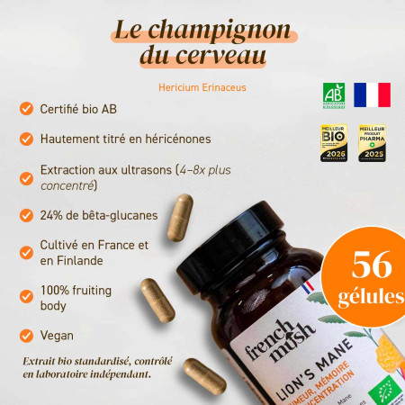 Complément alimentaire à base d'extraits de Lion's mane bio