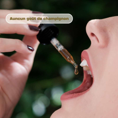 Gouttes Concentration à base de champignons français bio