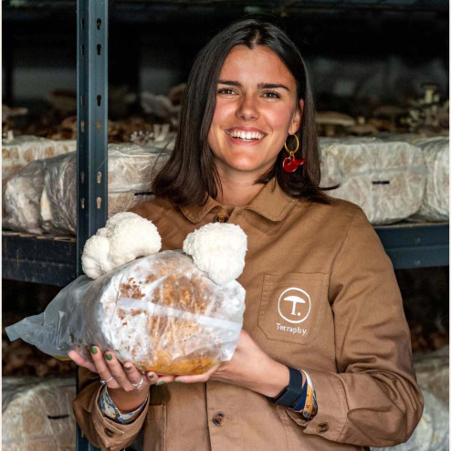 Gouttes Concentration à base de champignons français bio