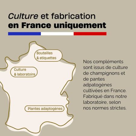 Gouttes Sommeil à base de champignons français bio