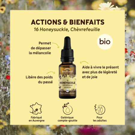 Fleurs de Bach Chèvrefeuille n° 16 20 ml