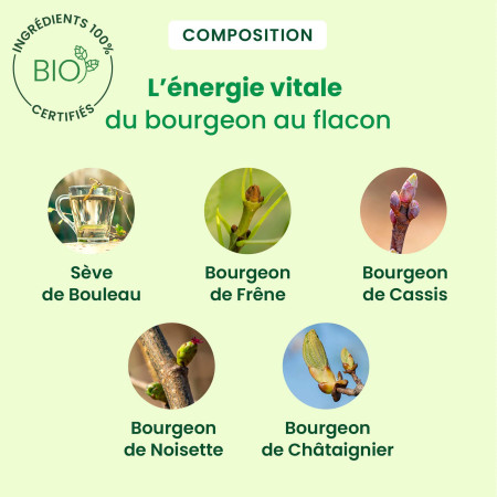 Cellusève - Sève Minceur Bio