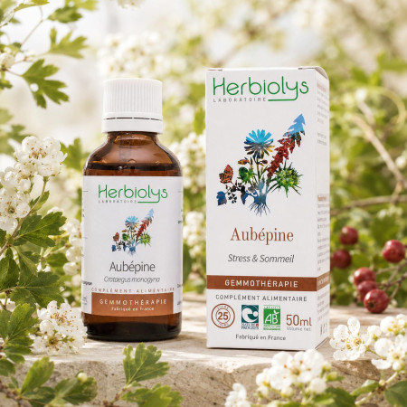 Macérat de bourgeon de Aubépine BIO