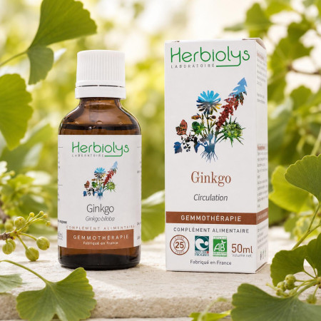Macérat de bourgeon de Ginkgo Bio